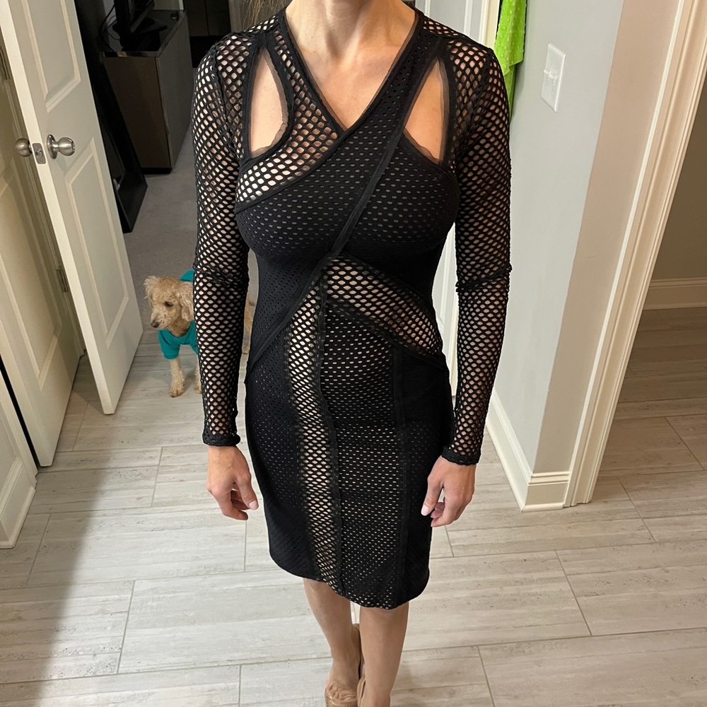 BCBG Dress